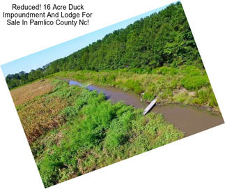 Reduced! 16 Acre Duck Impoundment And Lodge For Sale In Pamlico County Nc!