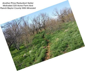 Another Price Reduction! Seller Motivated 320 Acres Farm And Ranch Baylor County With Minerals!