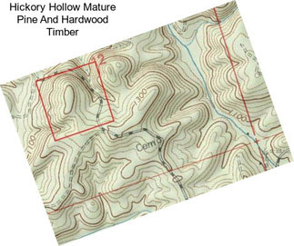 Hickory Hollow Mature Pine And Hardwood Timber