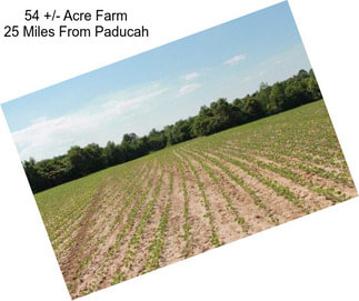 54 +/- Acre Farm 25 Miles From Paducah