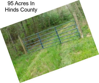 95 Acres In Hinds County