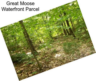 Great Moose Waterfront Parcel