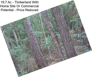 19.7 Ac - Timberland With Home Site Or Commercial Potential - Price Reduced