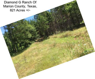 Diamond G Ranch Of Marion County, Texas, 821 Acres +/-