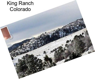 King Ranch Colorado