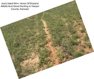 Just Listed! 80+/- Acres Of Dryland Alfalfa And Good Hunting In Harper County, Kansas!