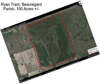 Ryan Tract, Beauregard Parish, 100 Acres +/-