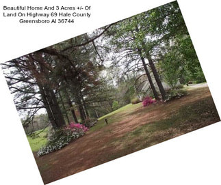 Beautiful Home And 3 Acres +/- Of Land On Highway 69 Hale County Greensboro Al 36744