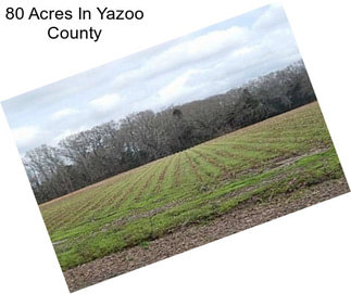 80 Acres In Yazoo County