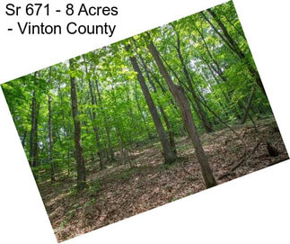 Sr 671 - 8 Acres - Vinton County