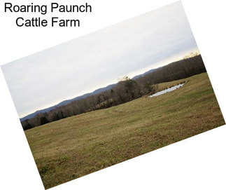 Roaring Paunch Cattle Farm