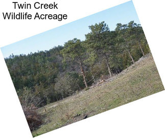 Twin Creek Wildlife Acreage