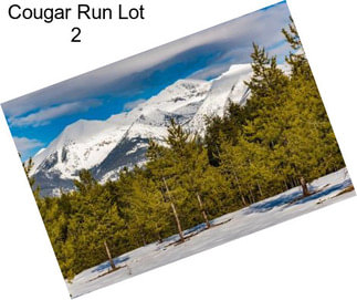 Cougar Run Lot 2