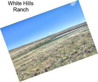 White Hills Ranch