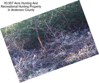 83.957 Acre Hunting And Recreational Hunting Property In Anderson County