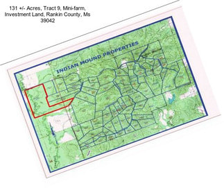 131 +/- Acres, Tract 9, Mini-farm, Investment Land, Rankin County, Ms 39042