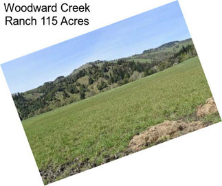 Woodward Creek Ranch 115 Acres