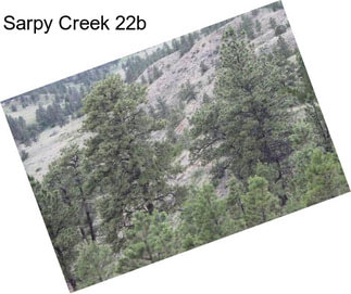 Sarpy Creek 22b