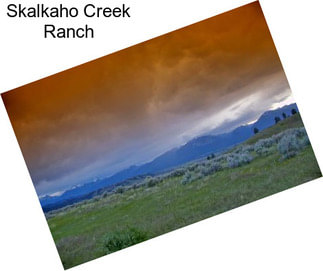 Skalkaho Creek Ranch