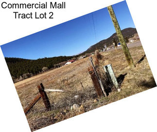 Commercial Mall Tract Lot 2