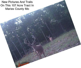 New Pictures And Trails On This 107 Acre Tract In Maries County Mo