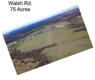 Walsh Rd. 75 Acres