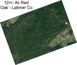 12+/- Ac Red Oak - Latimer Co