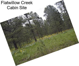 Flatwillow Creek Cabin Site