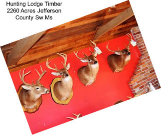 Hunting Lodge Timber 2260 Acres Jefferson County Sw Ms