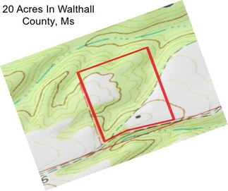 20 Acres In Walthall County, Ms