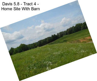 Davis 5.8 - Tract 4 - Home Site With Barn
