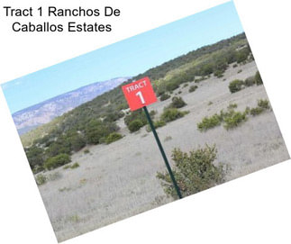 Tract 1 Ranchos De Caballos Estates