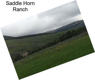 Saddle Horn Ranch