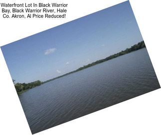 Waterfront Lot In Black Warrior Bay, Black Warrior River, Hale Co. Akron, Al Price Reduced!