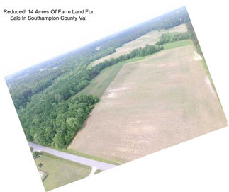 Reduced! 14 Acres Of Farm Land For Sale In Southampton County Va!