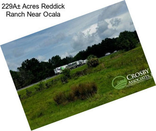 229A± Acres Reddick Ranch Near Ocala