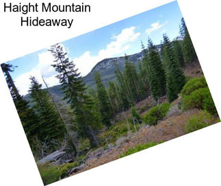 Haight Mountain Hideaway
