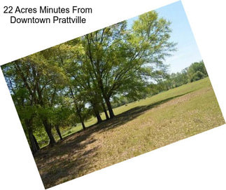 22 Acres Minutes From Downtown Prattville
