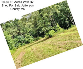 86.65 +/- Acres With Rv Shed For Sale Jefferson County Ms