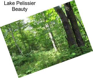 Lake Pelissier Beauty