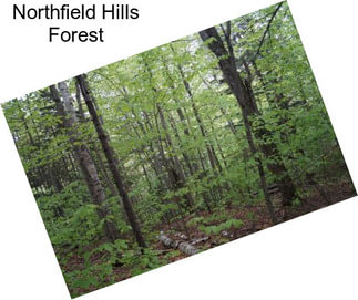 Northfield Hills Forest
