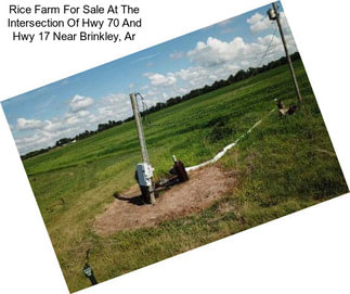 Rice Farm For Sale At The Intersection Of Hwy 70 And Hwy 17 Near Brinkley, Ar