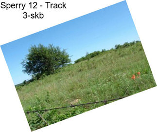 Sperry 12 - Track 3-skb