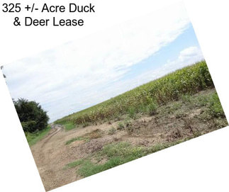 325 +/- Acre Duck & Deer Lease