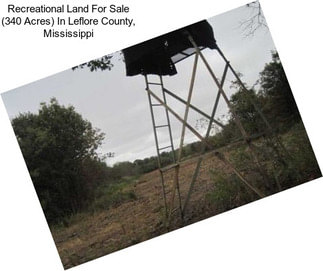 Recreational Land For Sale (340 Acres) In Leflore County, Mississippi