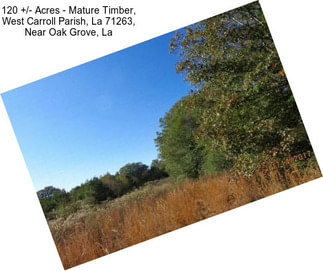 120 +/- Acres - Mature Timber, West Carroll Parish, La 71263, Near Oak Grove, La