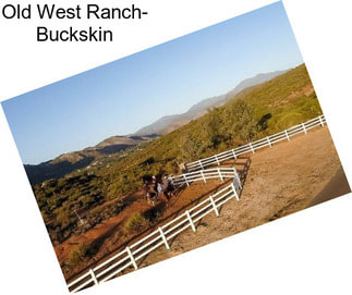 Old West Ranch- Buckskin
