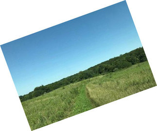 Price Reduction!
Build Your Dream Home On This Beautiful 28 M/l Acres In Johnson County, Mo