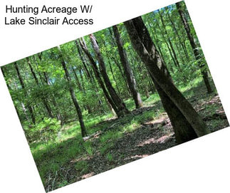 Hunting Acreage W/ Lake Sinclair Access