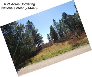 6.21 Acres Bordering National Forest (744445)